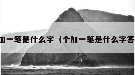 个加一笔是什么字（个加一笔是什么字答案）