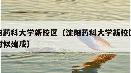 沈阳药科大学新校区（沈阳药科大学新校区什么时候建成）