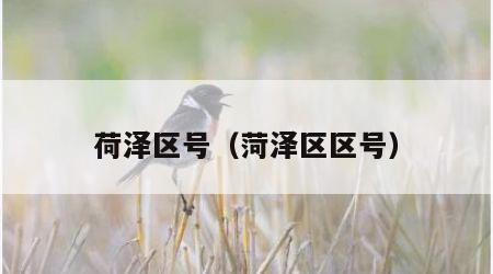荷泽区号（菏泽区区号）