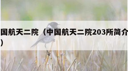 中国航天二院（中国航天二院203所简介图片）