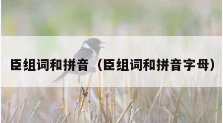臣组词和拼音（臣组词和拼音字母）