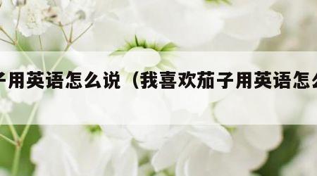 茄子用英语怎么说（我喜欢茄子用英语怎么说）