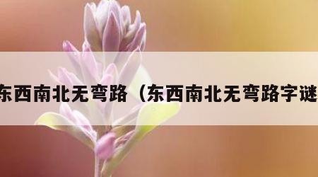 东西南北无弯路（东西南北无弯路字谜）