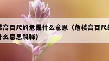 危楼高百尺的危是什么意思（危楼高百尺的危是什么意思解释）