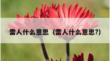 雷人什么意思（雷人什么意思?）