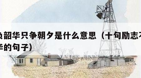 不负韶华只争朝夕是什么意思（十句励志不负韶华的句子）