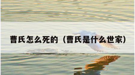 曹氏怎么死的（曹氏是什么世家）