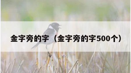金字旁的字（金字旁的字500个）