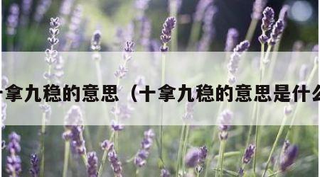 十拿九稳的意思（十拿九稳的意思是什么）