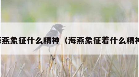 海燕象征什么精神（海燕象征着什么精神）