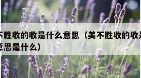 美不胜收的收是什么意思（美不胜收的收是什么意思是什么）
