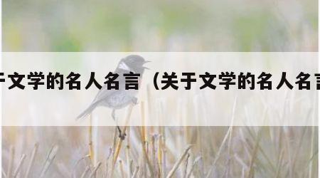 关于文学的名人名言（关于文学的名人名言大全）