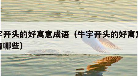 牛字开头的好寓意成语（牛字开头的好寓意成语有哪些）