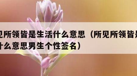 所见所领皆是生活什么意思（所见所领皆是生活什么意思男生个性签名）