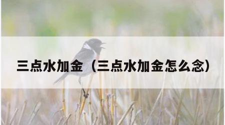 三点水加金（三点水加金怎么念）