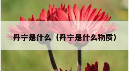 丹宁是什么（丹宁是什么物质）