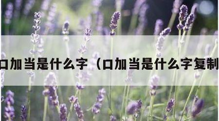 口加当是什么字（口加当是什么字复制）
