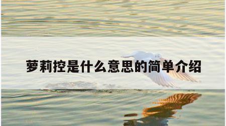 萝莉控是什么意思的简单介绍