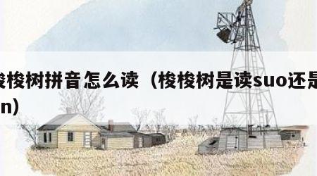 梭梭树拼音怎么读（梭梭树是读suo还是jun）