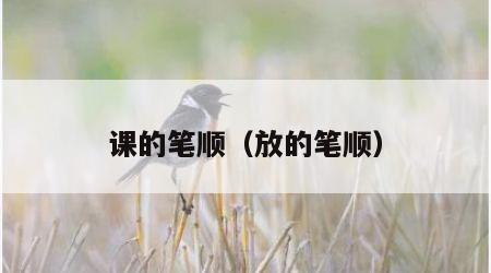 课的笔顺（放的笔顺）