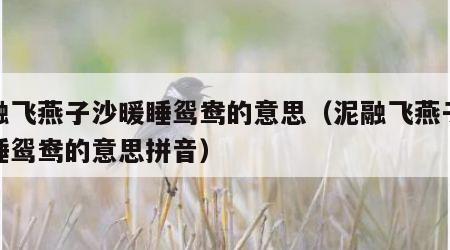 泥融飞燕子沙暖睡鸳鸯的意思（泥融飞燕子沙暖睡鸳鸯的意思拼音）