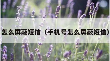 怎么屏蔽短信（手机号怎么屏蔽短信）