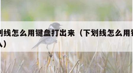 下划线怎么用键盘打出来（下划线怎么用键盘输入）