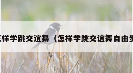 怎样学跳交谊舞（怎样学跳交谊舞自由步）