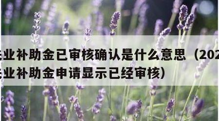 失业补助金已审核确认是什么意思（2020失业补助金申请显示已经审核）