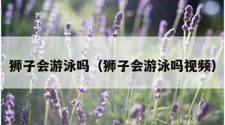 狮子会游泳吗（狮子会游泳吗视频）