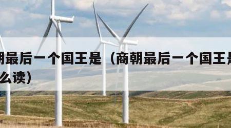 商朝最后一个国王是（商朝最后一个国王是谁?怎么读）