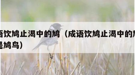 成语饮鸠止渴中的鸠（成语饮鸠止渴中的鸠指的是鸠鸟）