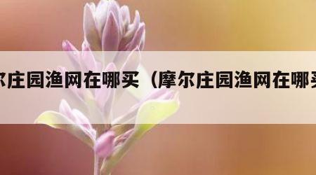 摩尔庄园渔网在哪买（摩尔庄园渔网在哪买便宜）
