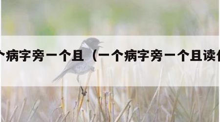一个病字旁一个且（一个病字旁一个且读什么）