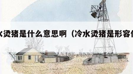 冷水烫猪是什么意思啊（冷水烫猪是形容什么）