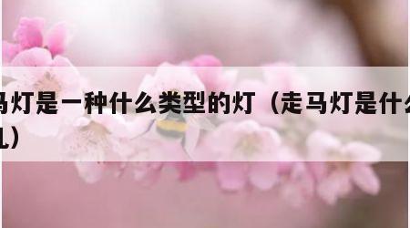 走马灯是一种什么类型的灯（走马灯是什么玩意儿）