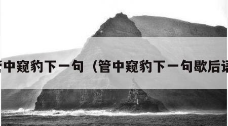 管中窥豹下一句（管中窥豹下一句歇后语）