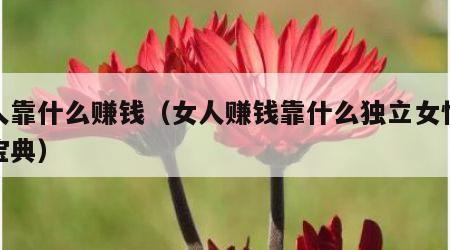 女人靠什么赚钱（女人赚钱靠什么独立女性必备宝典）