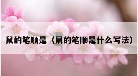 鼠的笔顺是（鼠的笔顺是什么写法）