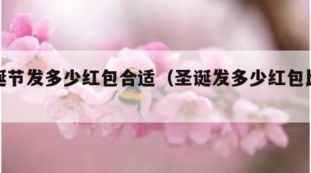 圣诞节发多少红包合适（圣诞发多少红包比较好）