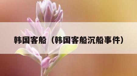 韩国客船（韩国客船沉船事件）