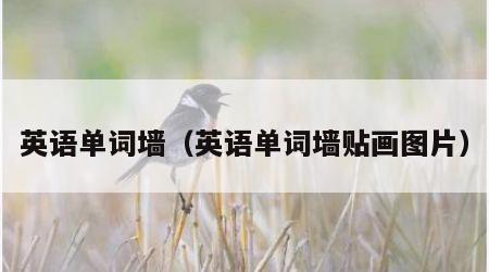 英语单词墙（英语单词墙贴画图片）