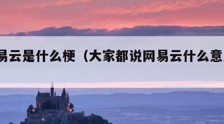 网易云是什么梗（大家都说网易云什么意思?）
