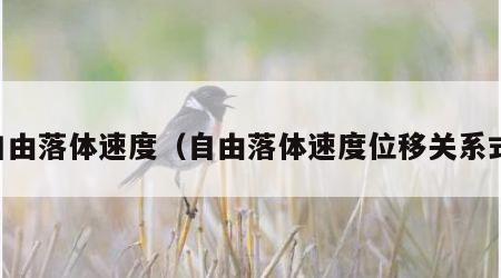 自由落体速度（自由落体速度位移关系式）