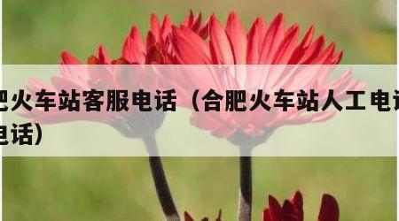 合肥火车站客服电话（合肥火车站人工电话咨询电话）