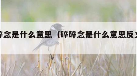 碎碎念是什么意思（碎碎念是什么意思反义词）