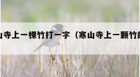 寒山寺上一棵竹打一字（寒山寺上一颗竹的谜语）