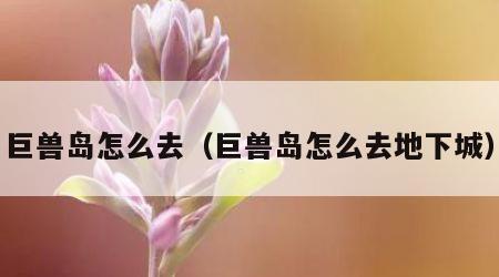 巨兽岛怎么去（巨兽岛怎么去地下城）