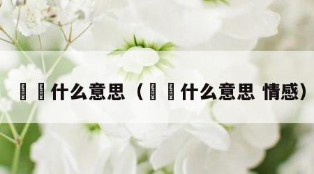 圥忈什么意思（圥忈什么意思 情感）