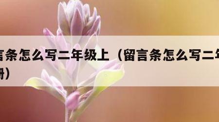 留言条怎么写二年级上（留言条怎么写二年级上册）